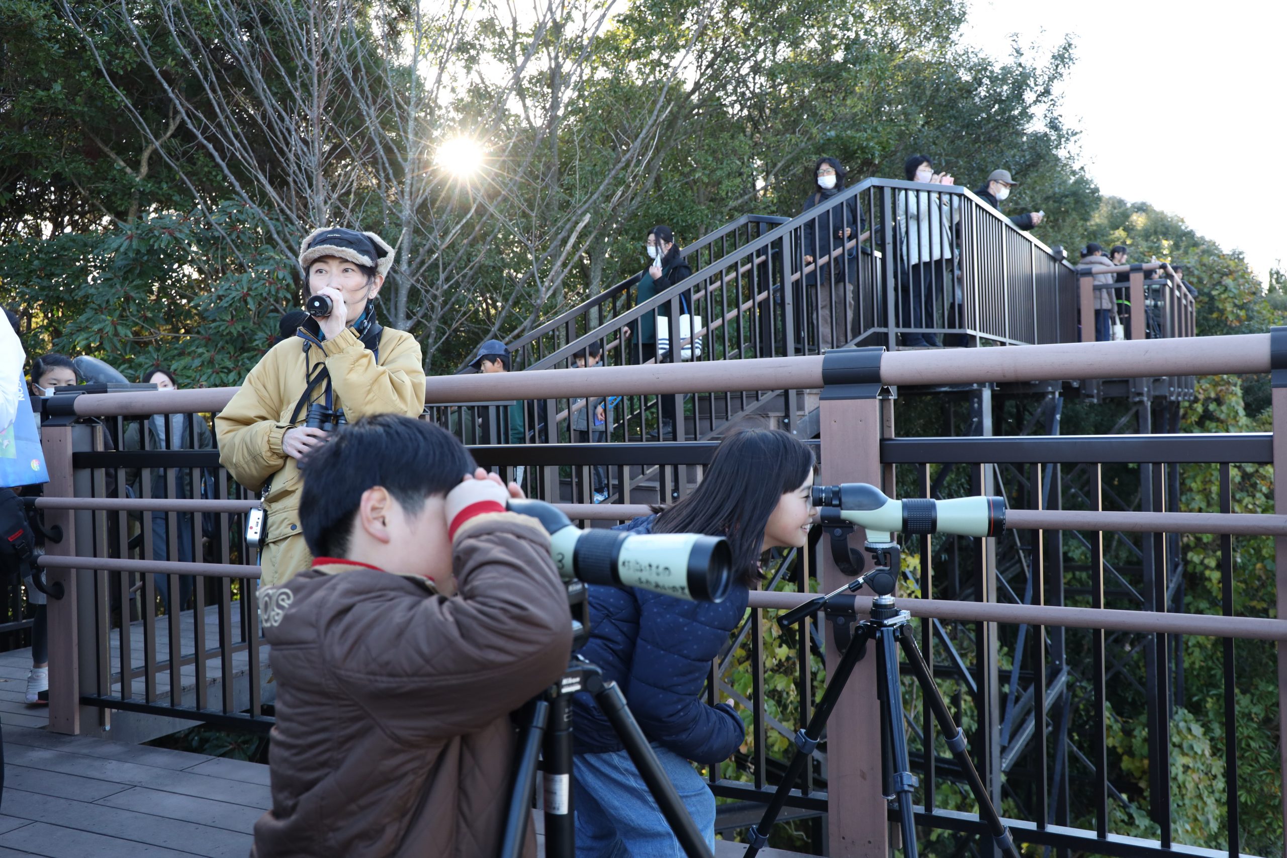 琵琶湖の冬鳥観察会