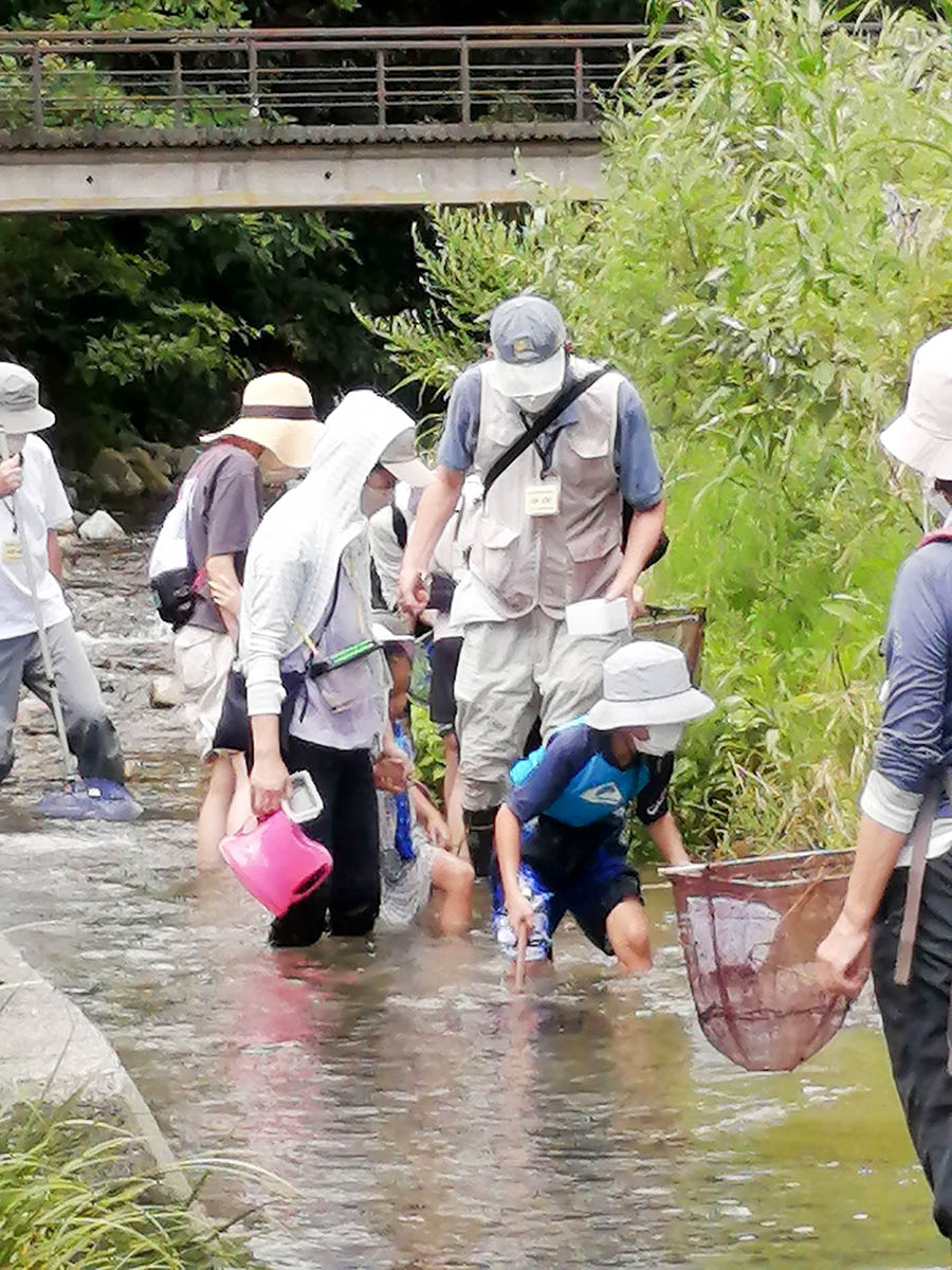 水生昆虫観察会　にうかがいました！