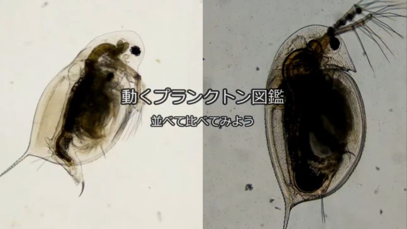 滋賀県琵琶湖環境科学研究センター